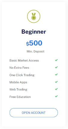 beginner